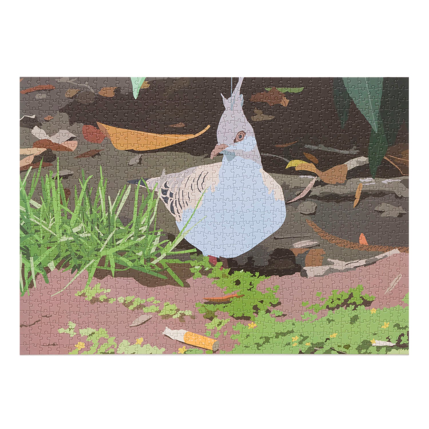 Crested Pigeon 1000 piece Jigsaw Puzzle
